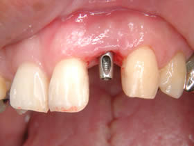 20060202a.jpg