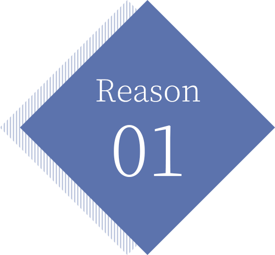 Reason 01
