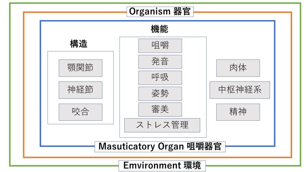 TCH 異常歯列接触癖について